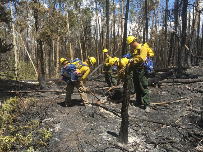 Delaware’s wildfire crew work on the Tokewanna Fire in southwest Wyoming: (left to right) Michael Krumrine, Laura Yowell, Daniel Mihok, Christopher Valenti, and Nathaniel Sommers.