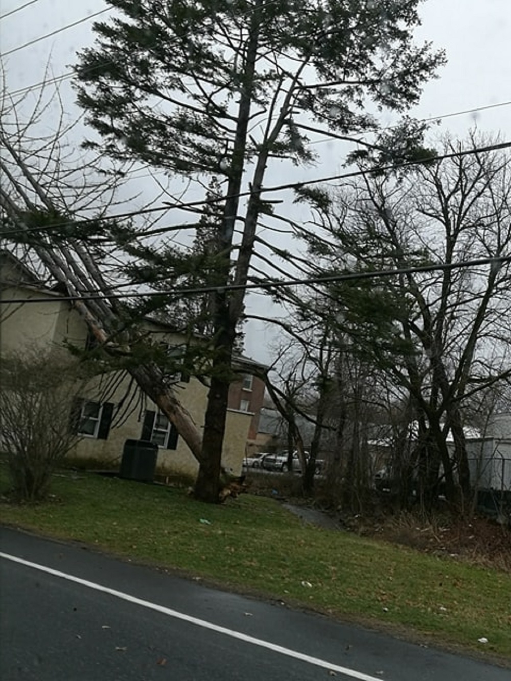 Thousands Without Power After Day Of Heavy Winds, Officials “Stay Off ...