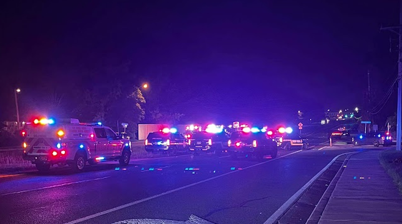 Troopers Identify Pedestrian Struck And Killed Saturday Night In Newark