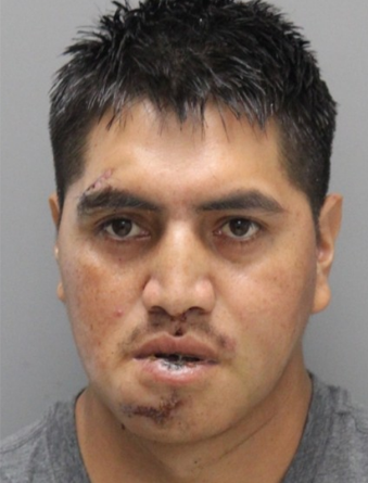 Man Facing Vehicular Homicide In Double Fatal Wrongway Crash – First ...
