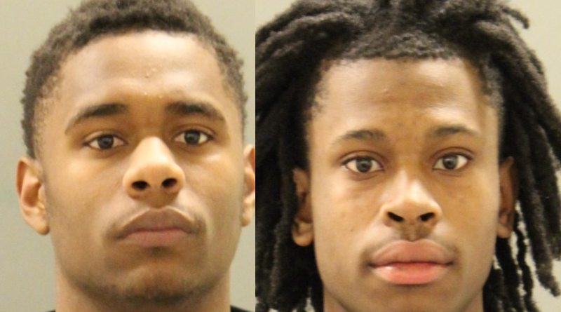 K-9 Officer Flushes Out Auto-Theft Suspects